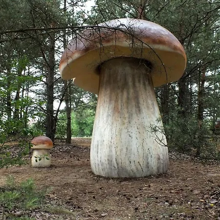 아파트 Przystan MaryLin