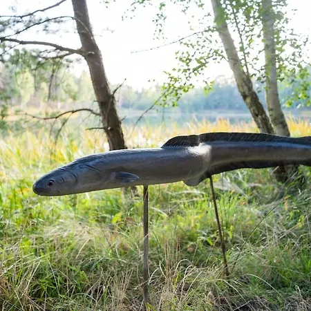 Przystań Apartament