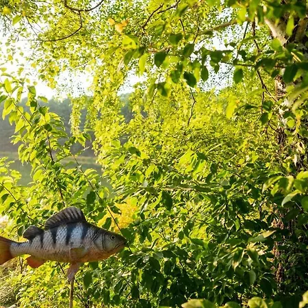 Przystań Apartament